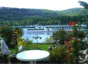 Rheinblick